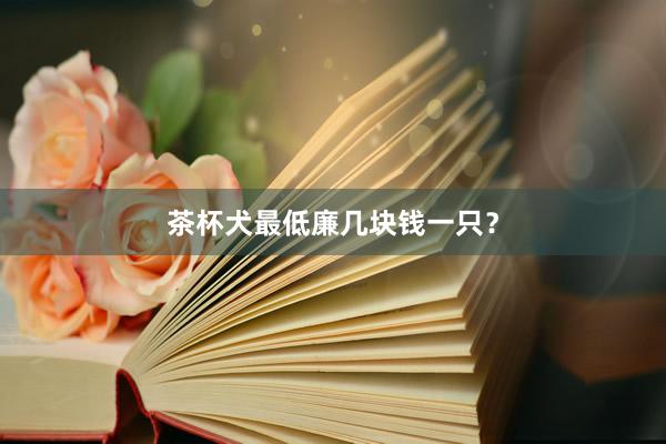 茶杯犬最低廉几块钱一只？