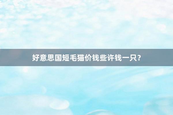 好意思国短毛猫价钱些许钱一只?