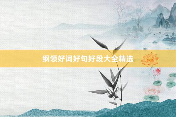 纲领好词好句好段大全精选
